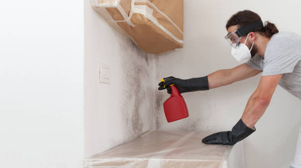 Attic Mold Remediation treatment on roof deck in New Bloomfield