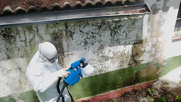 Mold Remediation service in New Bloomfield, New Bloomfield, PA